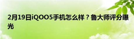 2月19日iQOO5手机怎么样？鲁大师评分曝光