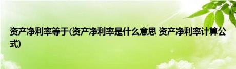 资产净利率等于(资产净利率是什么意思 资产净利率计算公式)