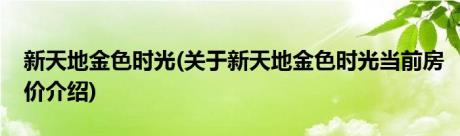 新天地金色时光(关于新天地金色时光当前房价介绍)