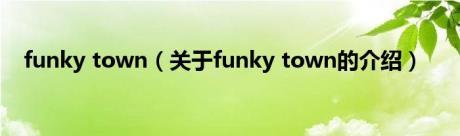 funky town（关于funky town的介绍）