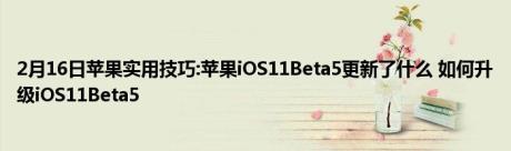 2月16日苹果实用技巧:苹果iOS11Beta5更新了什么 如何升级iOS11Beta5