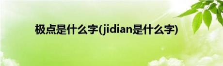 极点是什么字(jidian是什么字)