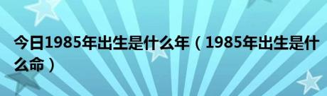 今日1985年出生是什么年（1985年出生是什么命）