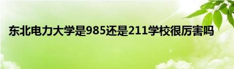 东北电力大学是985还是211学校很厉害吗