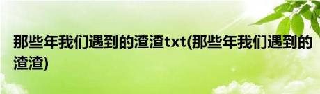 那些年我们遇到的渣渣txt(那些年我们遇到的渣渣)