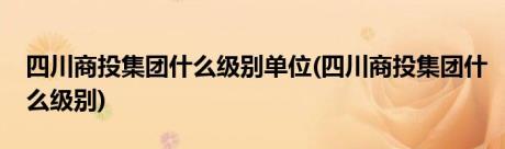 四川商投集团什么级别单位(四川商投集团什么级别)