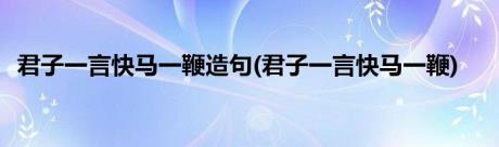 君子一言快马一鞭造句(君子一言快马一鞭)