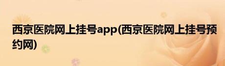 西京医院网上挂号app(西京医院网上挂号预约网)