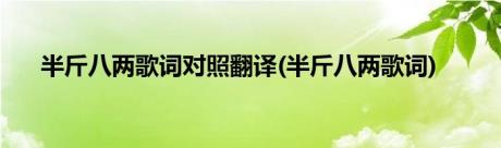 半斤八两歌词对照翻译(半斤八两歌词)