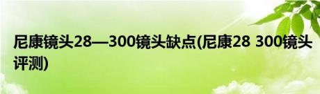 尼康镜头28—300镜头缺点(尼康28 300镜头评测)