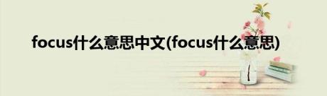 focus什么意思中文(focus什么意思)