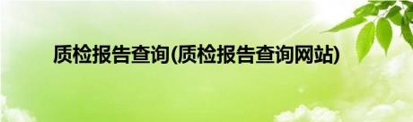 质检报告查询(质检报告查询网站)