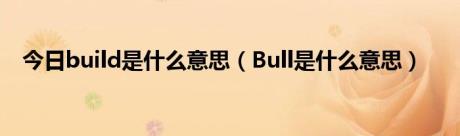 今日build是什么意思（Bull是什么意思）