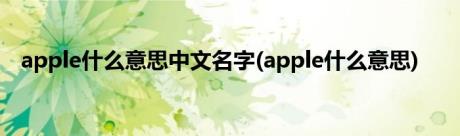 apple什么意思中文名字(apple什么意思)