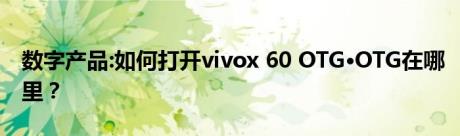 数字产品:如何打开vivox 60 OTG·OTG在哪里？