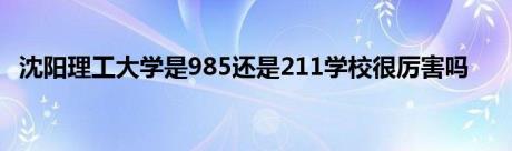 沈阳理工大学是985还是211学校很厉害吗