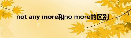 not any more和no more的区别