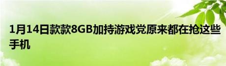 1月14日款款8GB加持游戏党原来都在抢这些手机