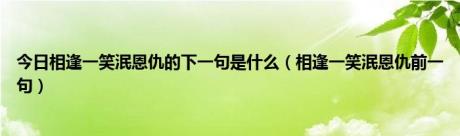 今日相逢一笑泯恩仇的下一句是什么（相逢一笑泯恩仇前一句）