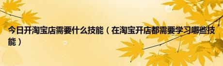 今日开淘宝店需要什么技能（在淘宝开店都需要学习哪些技能）