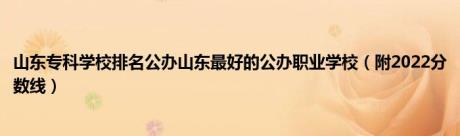 山东专科学校排名公办山东最好的公办职业学校（附2022分数线）