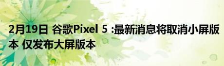 2月19日 谷歌Pixel 5 :最新消息将取消小屏版本 仅发布大屏版本