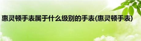 惠灵顿手表属于什么级别的手表(惠灵顿手表)