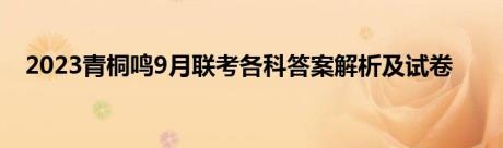 2023青桐鸣9月联考各科答案解析及试卷