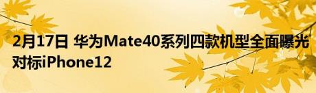 2月17日 华为Mate40系列四款机型全面曝光对标iPhone12