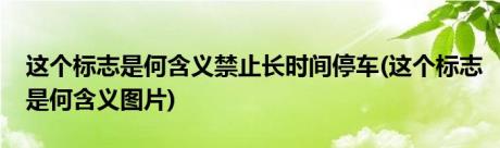 这个标志是何含义禁止长时间停车(这个标志是何含义图片)