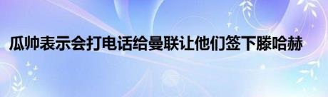 瓜帅表示会打电话给曼联让他们签下滕哈赫