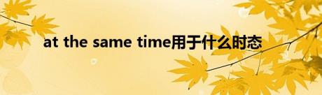 at the same time用于什么时态