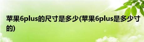 苹果6plus的尺寸是多少(苹果6plus是多少寸的)