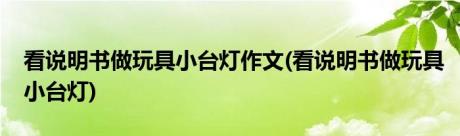 看说明书做玩具小台灯作文(看说明书做玩具小台灯)