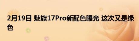 2月19日 魅族17Pro新配色曝光 这次又是绿色