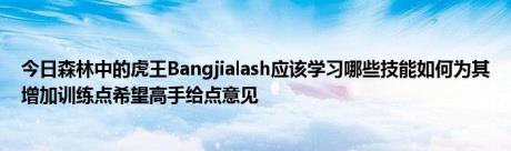 今日森林中的虎王Bangjialash应该学习哪些技能如何为其增加训练点希望高手给点意见