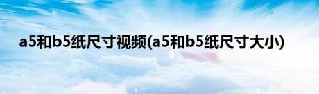 a5和b5纸尺寸视频(a5和b5纸尺寸大小)