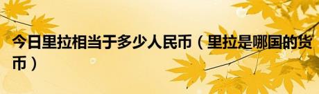 今日里拉相当于多少人民币（里拉是哪国的货币）