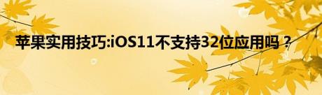 苹果实用技巧:iOS11不支持32位应用吗？