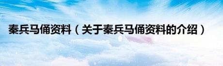 秦兵马俑资料（关于秦兵马俑资料的介绍）