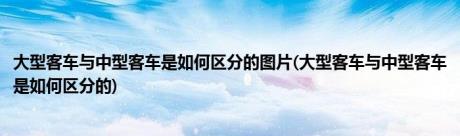 大型客车与中型客车是如何区分的图片(大型客车与中型客车是如何区分的)