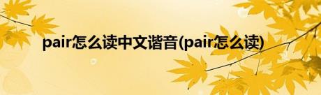 pair怎么读中文谐音(pair怎么读)