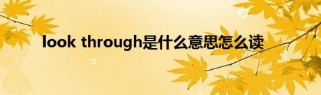 look through是什么意思怎么读