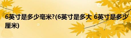 6英寸是多少毫米?(6英寸是多大 6英寸是多少厘米)