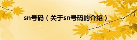 sn号码（关于sn号码的介绍）