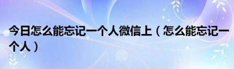 今日怎么能忘记一个人微信上（怎么能忘记一个人）