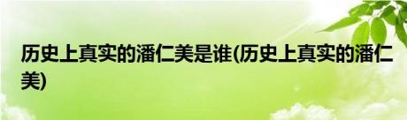 历史上真实的潘仁美是谁(历史上真实的潘仁美)