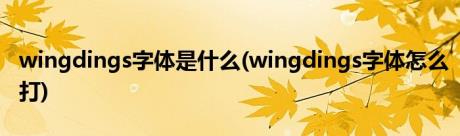 wingdings字体是什么(wingdings字体怎么打)