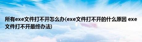 所有exe文件打不开怎么办(exe文件打不开的什么原因 exe文件打不开最终办法)