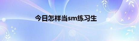 今日怎样当sm练习生